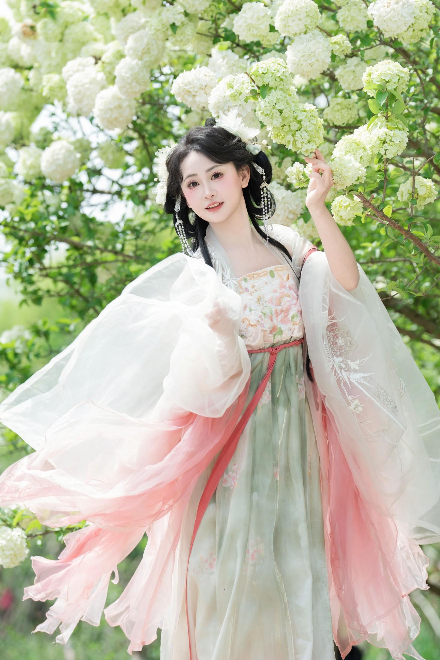 ID10092洁白绣球 - 妍画集-妍画集