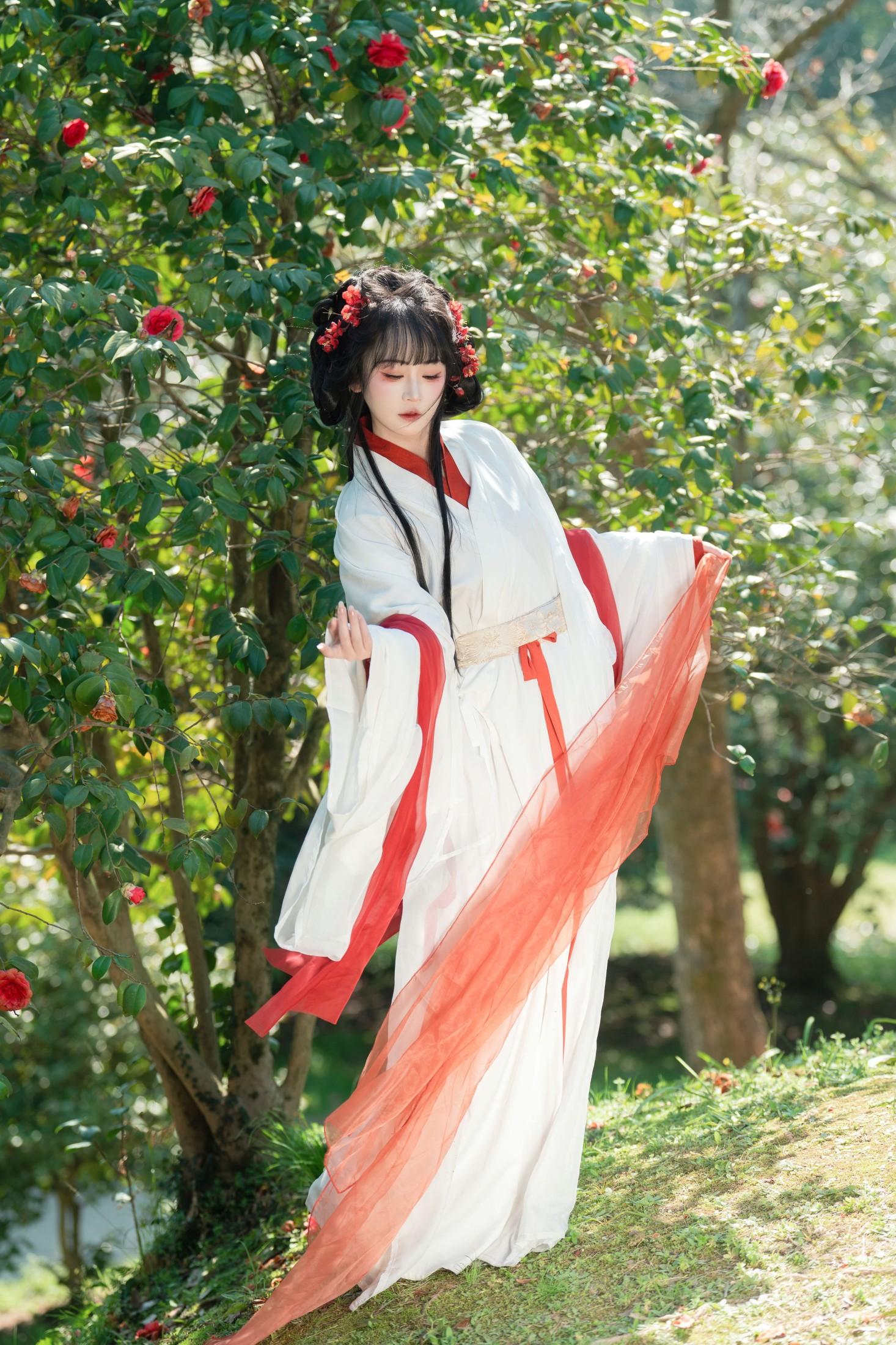ID10034邂逅山茶花 - 妍画集-妍画集